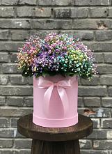 Цветочная композиция из Гипсофила и Розы в шляпной коробке в Золотарёвке
