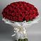 Букет 101 Красная роза Блэк Мэджик в Золотарёвке