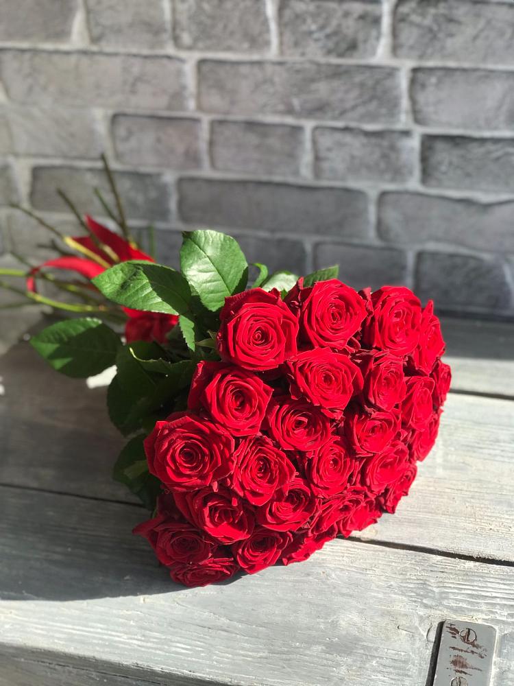 Букет Красные розы Фридом в Золотарёвке