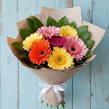 Букет цветов из:  Герберы в Золотарёвке