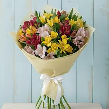 Букет цветов из:  Альстромерии #REPLACE_PRED# Золотарёвке