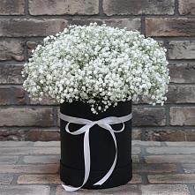 Цветочная композиция из Гипсофила в шляпной коробке в Золотарёвке