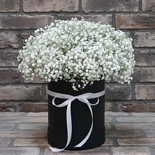 Цветочная композиция из Гипсофила в шляпной коробке в Золотарёвке
