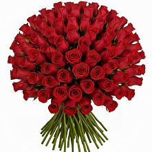 Букет Красные розы Чери Лав в Золотарёвке